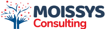 Moissys Consulting
